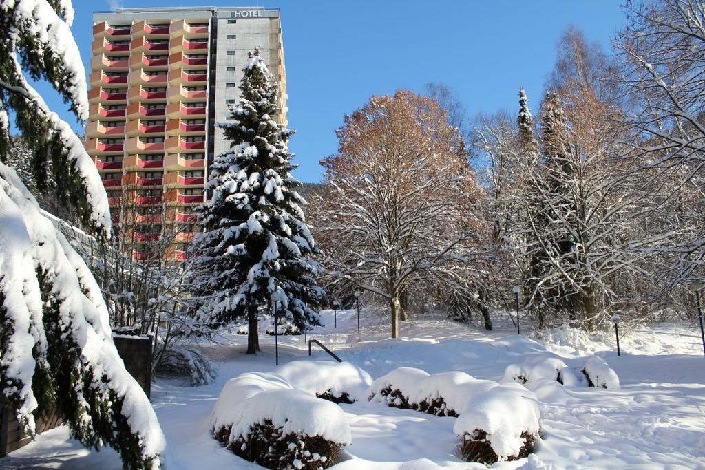 Familien Apartmenthotel Panoramic Bad Lauterberg Dış mekan fotoğraf